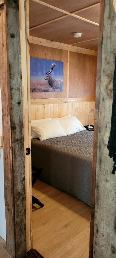 Motel Du Haut Phare Cap-des-Rosiers Kültér fotó